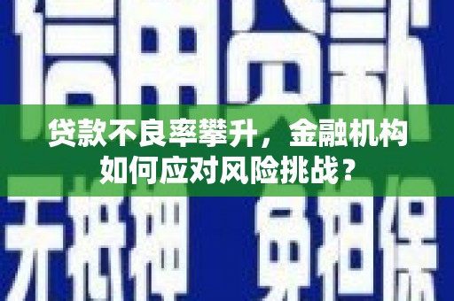 宣州贷款不良率攀升，金融机构如何应对风险挑战？
