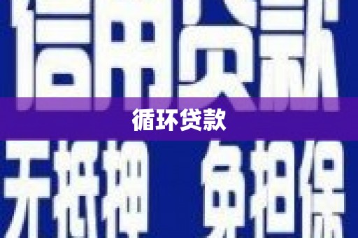 桓台循环贷款