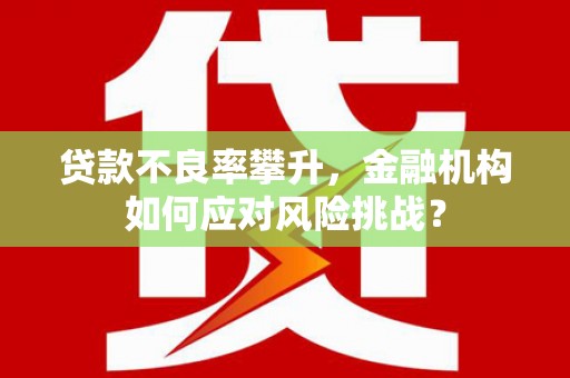 朔城贷款不良率攀升，金融机构如何应对风险挑战？