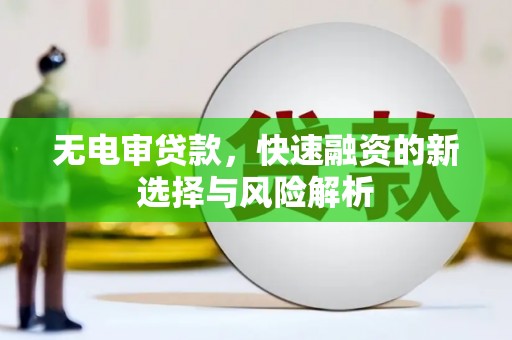 卑南无电审贷款，快速融资的新选择与风险解析