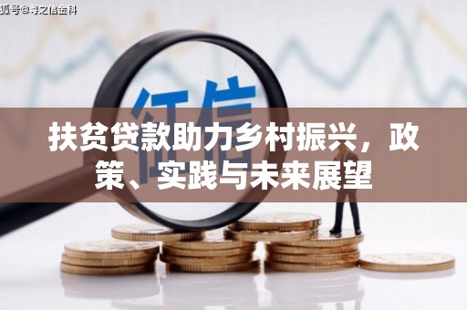 雨城扶贫贷款助力乡村振兴，政策、实践与未来展望