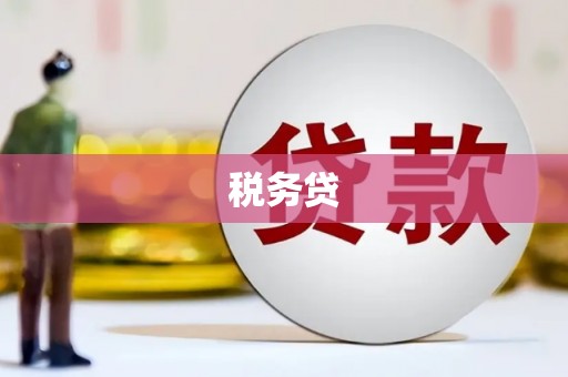滁州税务贷