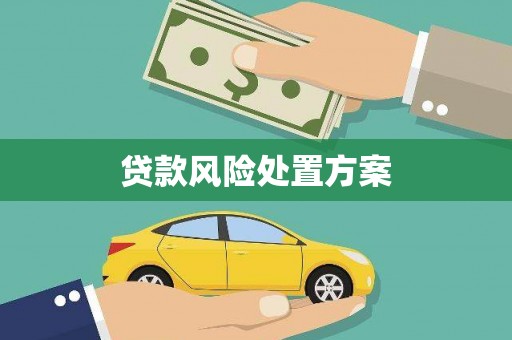 汶上贷款风险处置方案