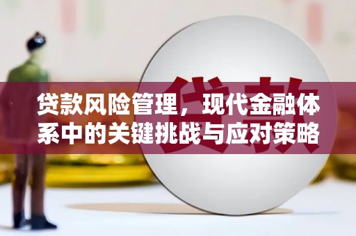 龙凤贷款风险管理，现代金融体系中的关键挑战与应对策略