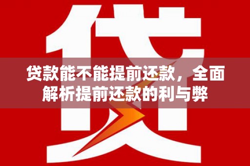 八宿贷款能不能提前还款，全面解析提前还款的利与弊
