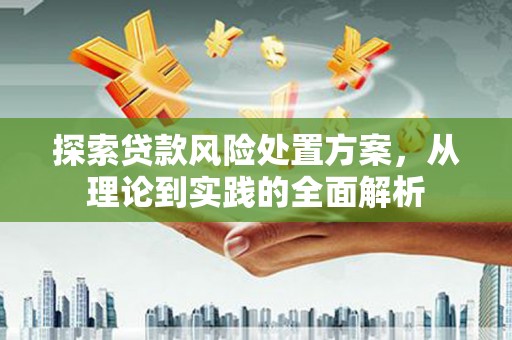 滨州探索贷款风险处置方案，从理论到实践的全面解析