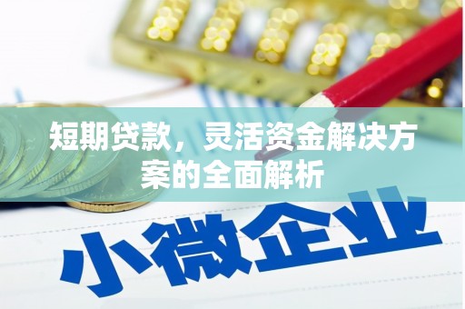 集集短期贷款，灵活资金解决方案的全面解析