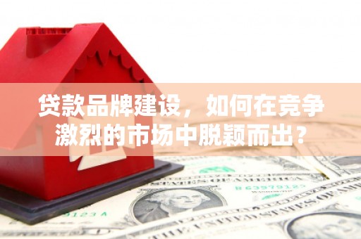 湖内贷款品牌建设，如何在竞争激烈的市场中脱颖而出？
