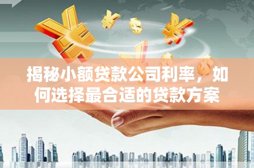 额尔古纳揭秘小额贷款公司利率，如何选择最合适的贷款方案