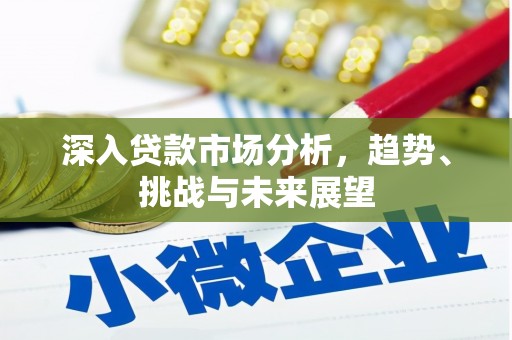 南丰深入贷款市场分析，趋势、挑战与未来展望