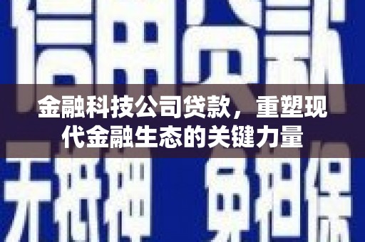 虾峙金融科技公司贷款，重塑现代金融生态的关键力量