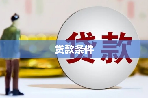 岱岳贷款条件