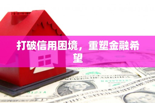 宝山打破信用困境，重塑金融希望