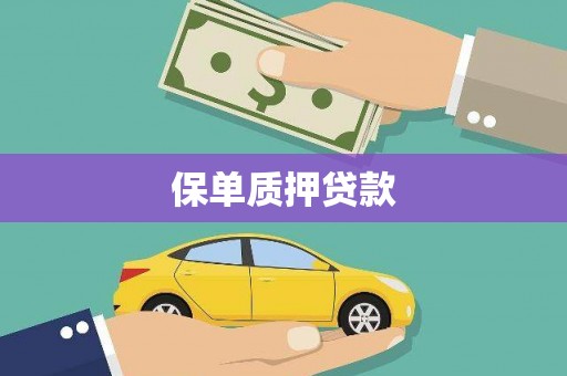 中卫保单质押贷款