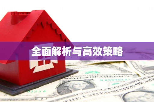 荔城全面解析与高效策略