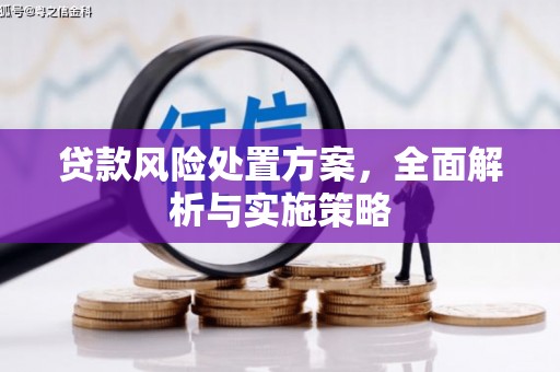 三都贷款风险处置方案，全面解析与实施策略
