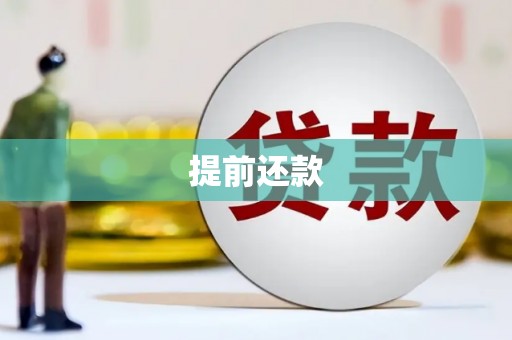 保康提前还款