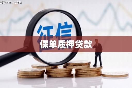 那玛夏保单质押贷款