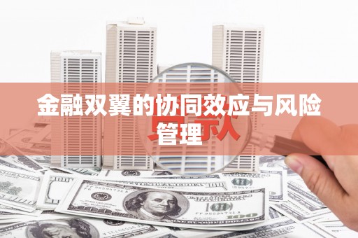 九江金融双翼的协同效应与风险管理